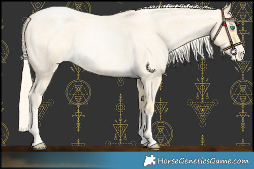 Horse Color:Palomino Roan Pearl Varnish