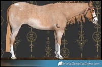 Horse Color:Red Roan Varnish 