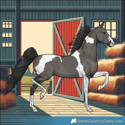 Horse Color:Grullo Tobiano 