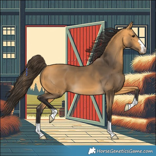 Horse Color:Buckskin