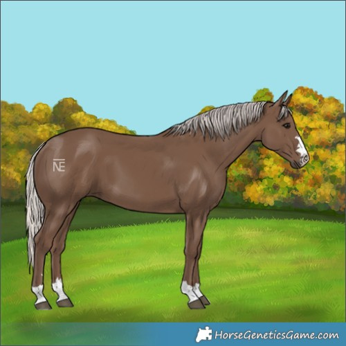 Horse Color:Silver Black