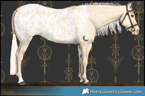 Horse Color:Palomino Dun Near Leopard