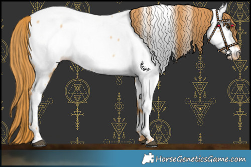 Horse Color:Red Dun Fewspot