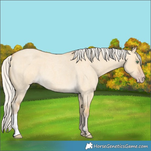 Horse Color:Silver Sable Cream Champagne Roan Dun 