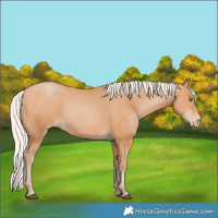 Horse Color:Silver Bay Pearl 