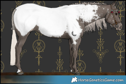 Horse Color:Silver Black Near Fewspot 