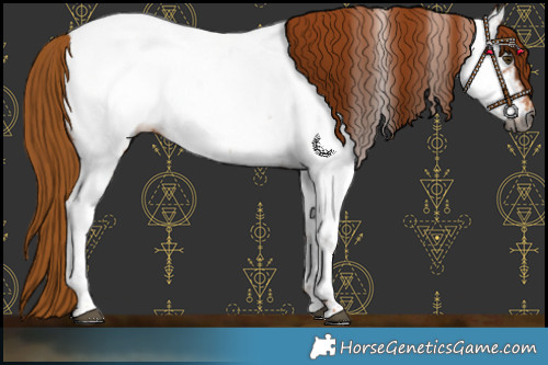 Horse Color:Gray Chestnut Near Fewspot