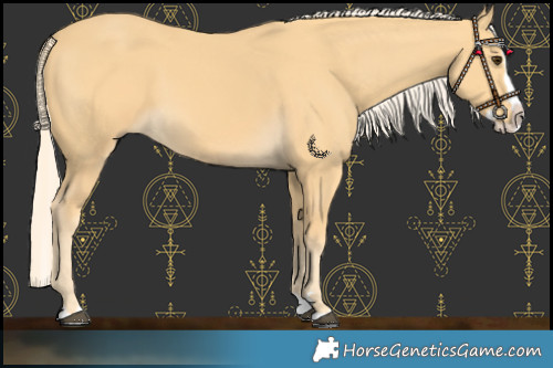 Horse Color:Palomino Splash