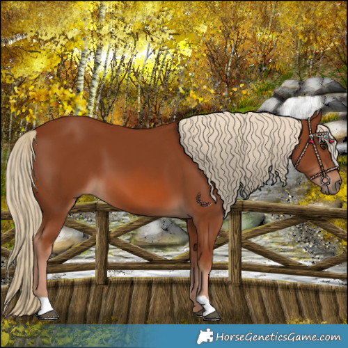 Horse Color:Chestnut 