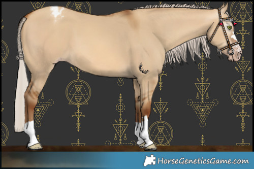 Horse Color:Gray Silver Amber Champagne Dun Varnish 