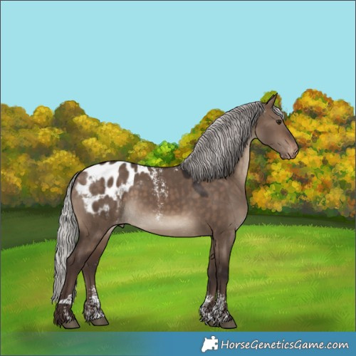 Horse Color:Powder White Silver Brown Dun Blanket 