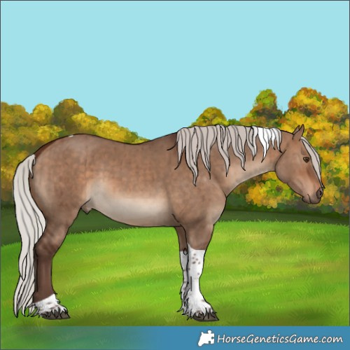Horse Color:Silver Brown Dun Tobiano Brindle