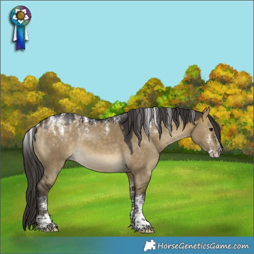 Horse Color:Powder White Buckskin Dun