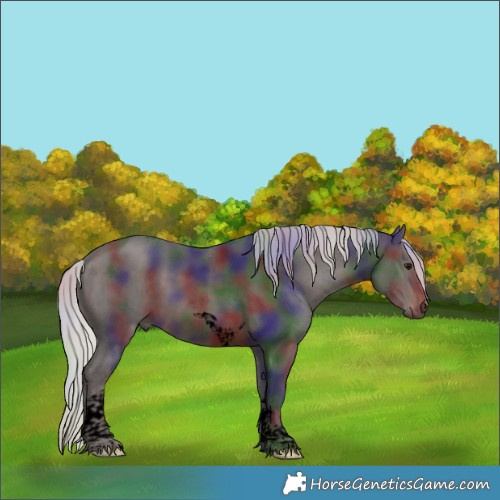 Horse Color:Void Nacre Silver Brown Tobiano