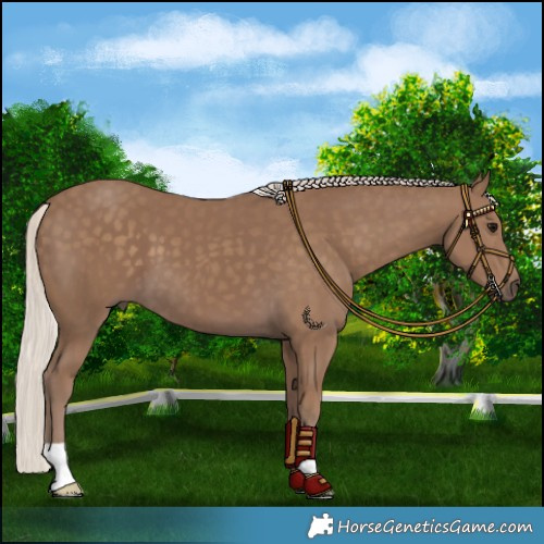 Horse Color:Chocolate Silver Smoky Black 