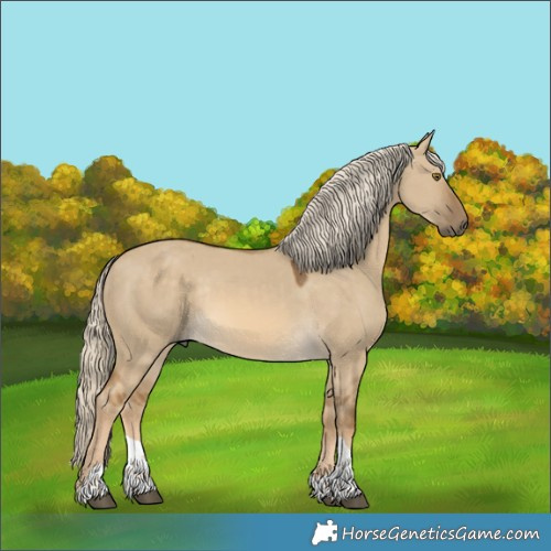 Horse Color:Chocolate Palomino Dun Mushroom Tobiano Rabicano