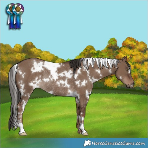 Horse Color:White Spotted Liver Red Dun Rabicano 