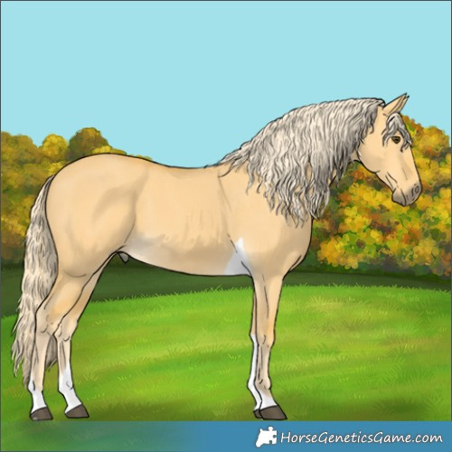 Horse Color:Palomino Dun Tobiano