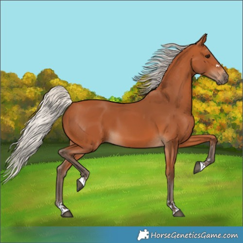 Horse Color:Silver Bay
