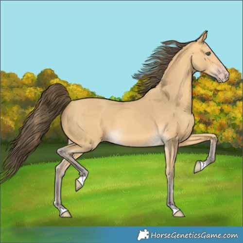 Horse Color:Amber Cream Champagne