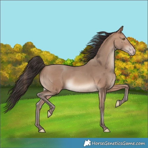 Horse Color:Sable Champagne