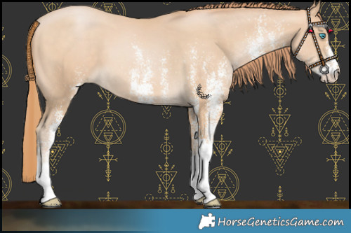 Horse Color:White Spotted Buckskin Pearl 