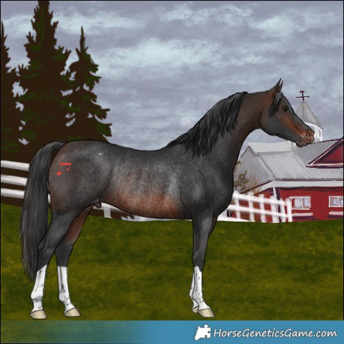 Horse Color:Brown Varnish Rabicano 