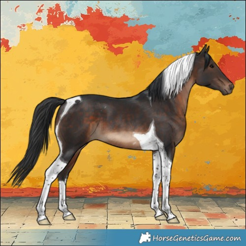 Horse Color:Brown Tobiano