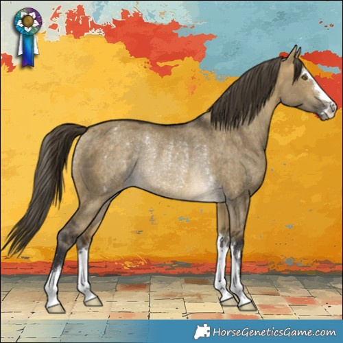 Horse Color:Buckskin Dun Varnish Rabicano