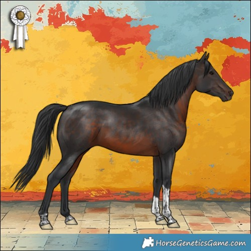 Horse Color:Brown Tobiano 