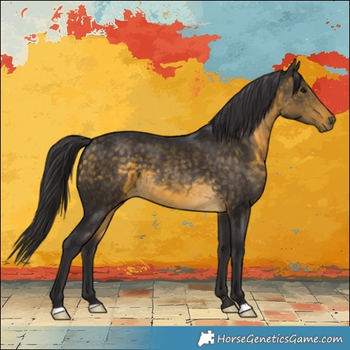 Horse Color:Buckskin