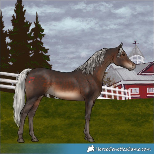 Horse Color:Silver Brown 