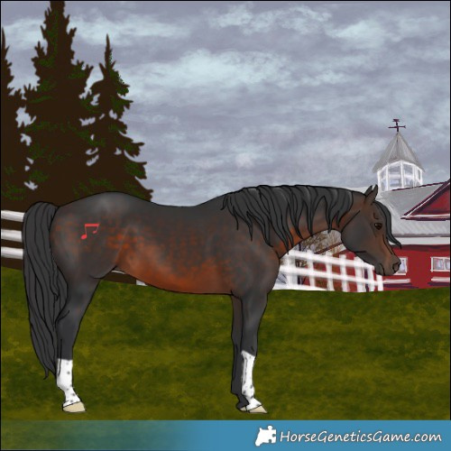 Horse Color:Brown 