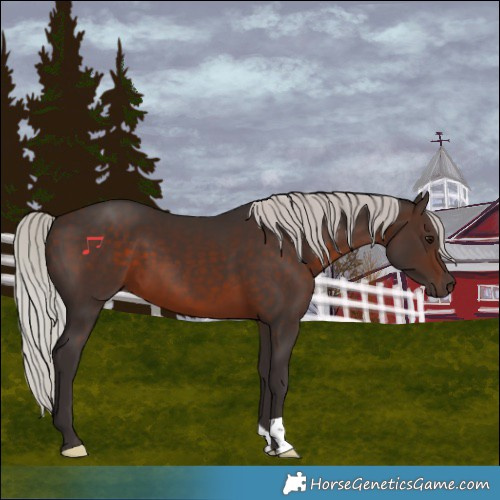 Horse Color:Silver Brown