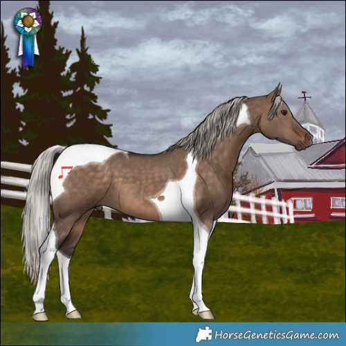 Horse Color:Silver Brown Dun Tobiano