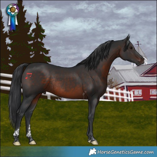 Horse Color:Brown Tobiano Rabicano