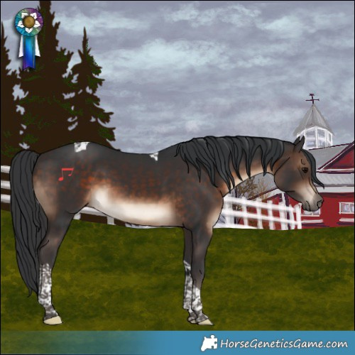 Horse Color:Brown Tobiano 