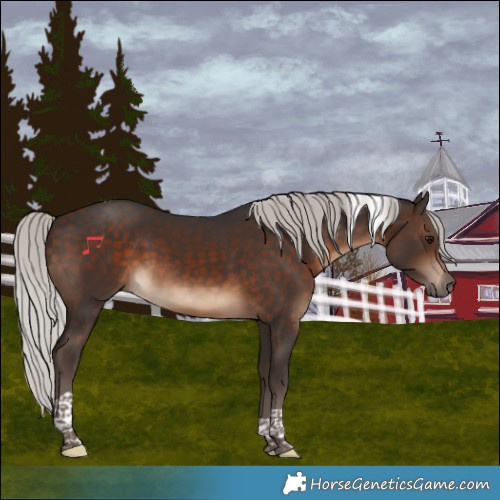Horse Color:Silver Brown Tobiano