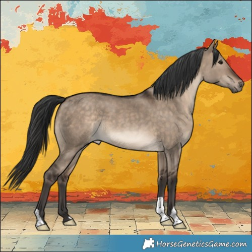 Horse Color:Brown Dun