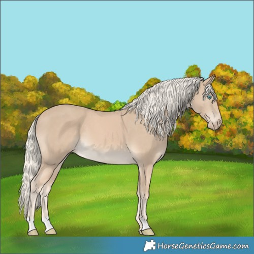 Horse Color:Cremello