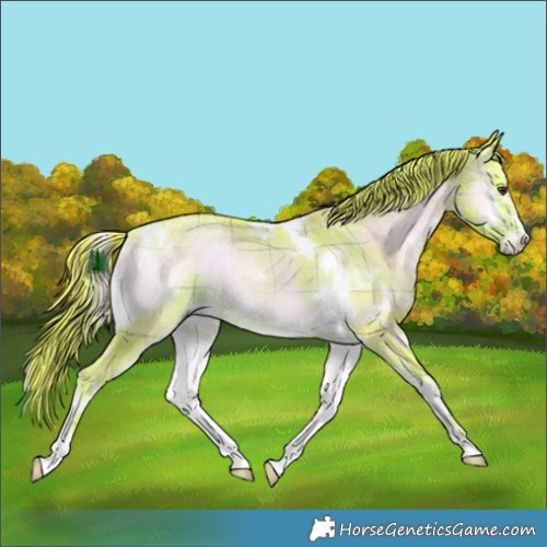 Horse Color:Watercolor Plaid White Spotted Liver Red Onyx Ice