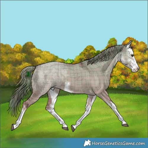 Horse Color:Plaid White Spotted Liver Red Dun Ice