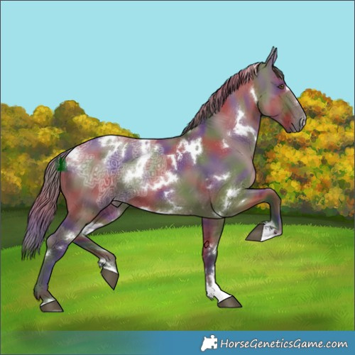 Horse Color:Nacre White Spotted Liver Red Dun Ice