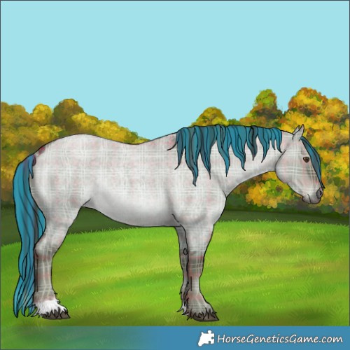 Horse Color:Painted Plaid  Liver Red Dun Roan Rabicano 