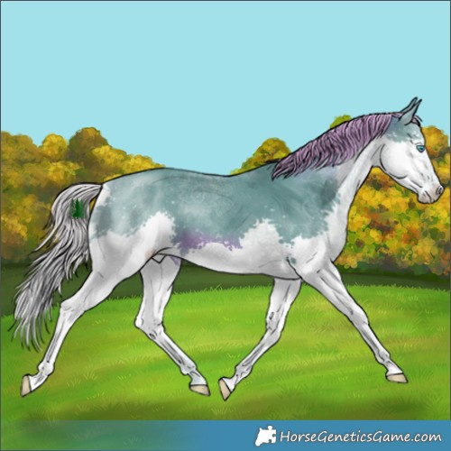Horse Color:Watercolor Liver Chestnut Splash
