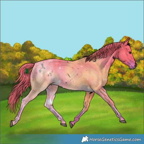 Horse Color:Void Watercolor White Spotted Liver Chestnut