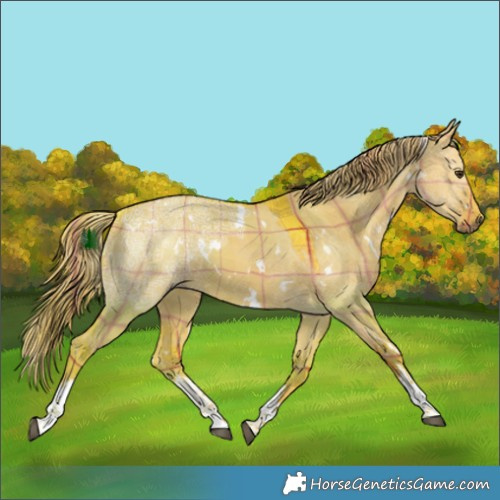Horse Color:Watercolor Plaid  White Spotted Liver Red Dun Ice 