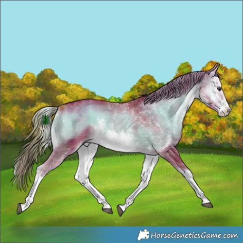 Horse Color:Watercolor Plaid White Spotted Liver Red Onyx