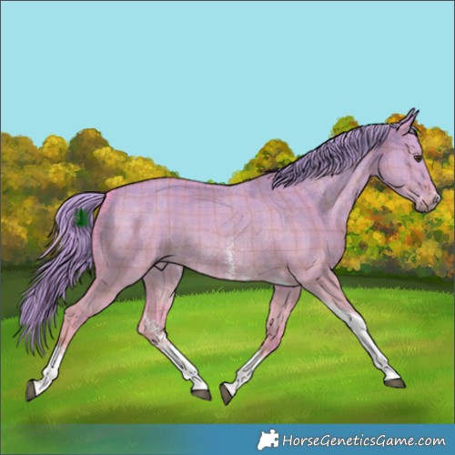 Horse Color:Watercolor Plaid Liver Red Dun Sabino Tobiano Rabicano