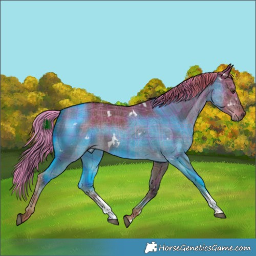 Horse Color:Plaid White Spotted Liver Red Dun Sabino